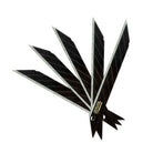 BlackBlades | extrascharfe Ersatzklingen | Abbrechklingen - Foliendealer.com